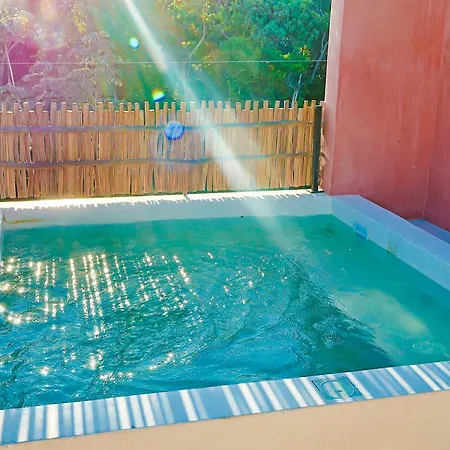 Agave - Panoramic Roof Pool Bed & Breakfast Tulum