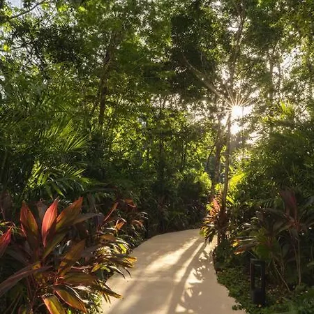 Stunning 2 Bd Mistiq Ph Rooftop Private Pool Tulum