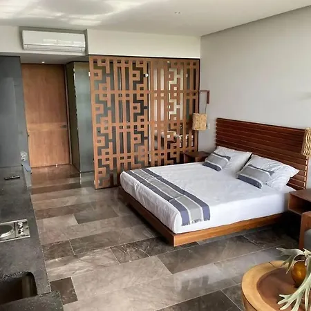 Beautiful Downtown Apartment *