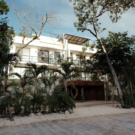 Escapada De Lujo Con Alberca Privada En Aldea Zama Tulum
