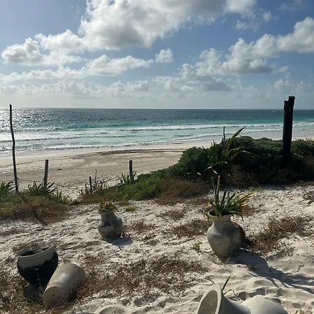 Cozy Oasis In Tulum! Apartment
