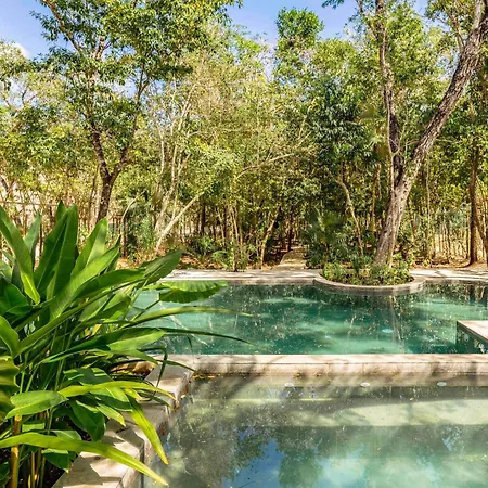 Jungle Serenity Villa *