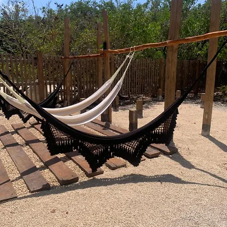 Casa Borush Glamping Fruit & Cenote Experience