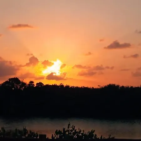 Casa Borush Glamping Fruit & Cenote Experience Luxury tent