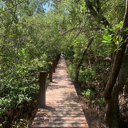 Casa Borush Glamping Fruit & Cenote Experience Luxury tent Tulum