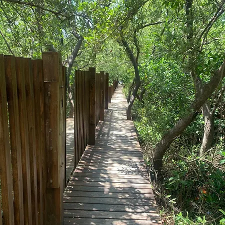 Casa Borush Glamping Fruit & Cenote Experience Luxury tent