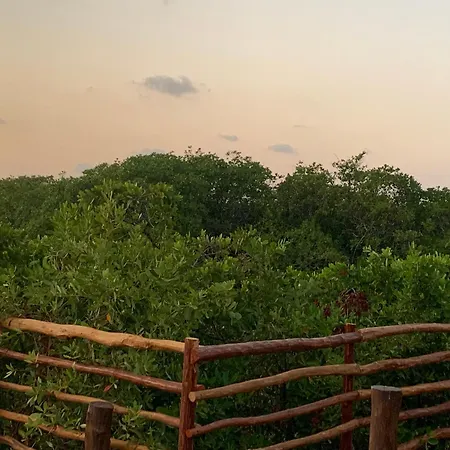Luxury tent Casa Borush Glamping Fruit & Cenote Experience Tulum