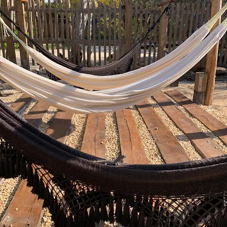Casa Borush Glamping Fruit & Cenote Experience *