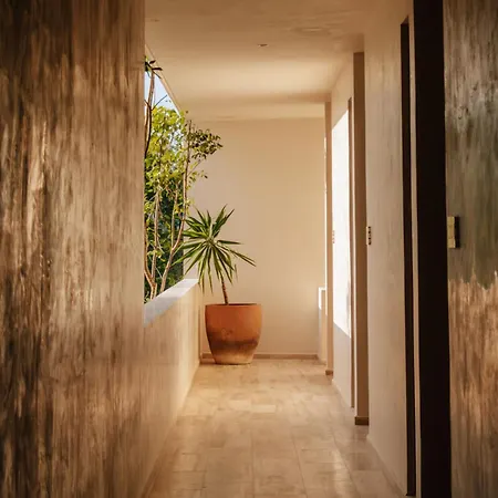 Bacab Apartment *