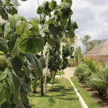Apartment New - Village-cenotes-airport-zamna