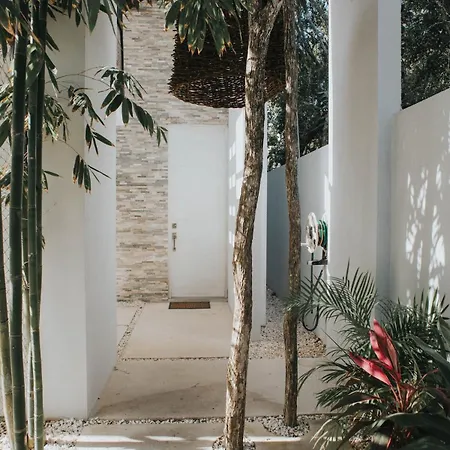 Tulum, 6 Bedrooms In Paradise Tulum