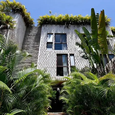 Apartment Jungle Sanctuary With