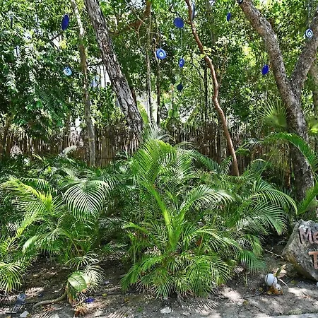 Apartment Jungle Sanctuary With *