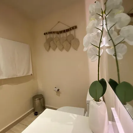 Apartment Eco-chic