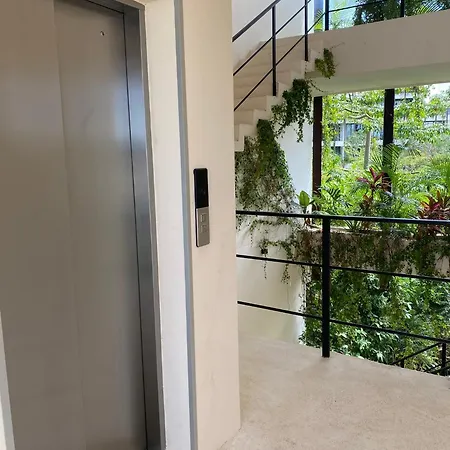 Eco-chic