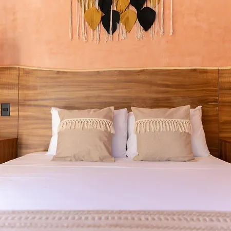 Entorno - Luxury Villa