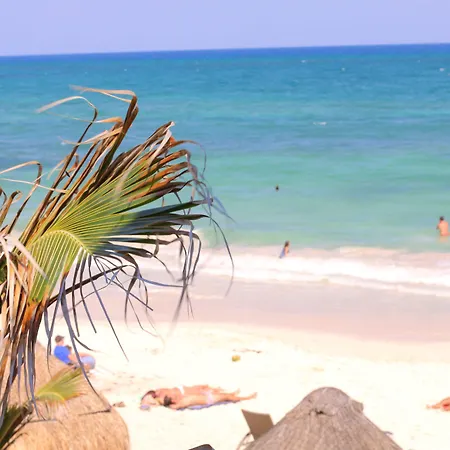 Punta Piedra