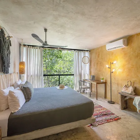 Casa Coyote