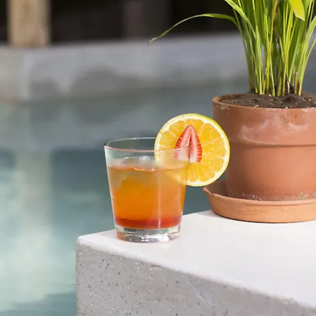Orchid House Jungle Hotel 5*