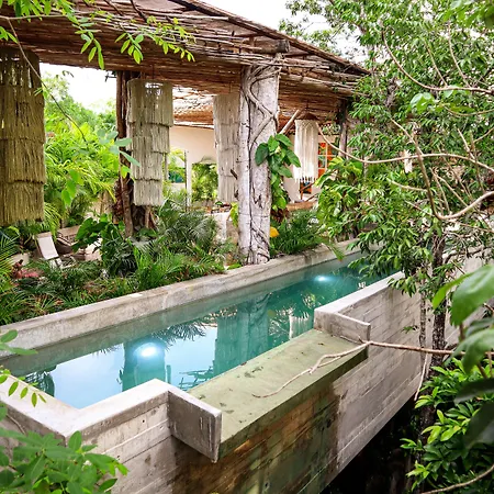 Hotel Orchid House Jungle 5*