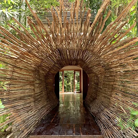 Orchid House Jungle 5*
