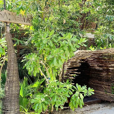 Hotel Orchid House Jungle