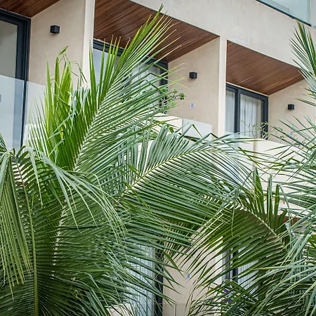 Hotel Moonshine & Tulum