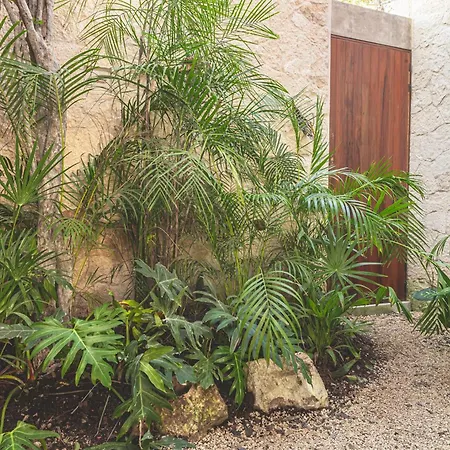 Entorno - Luxury * Tulum