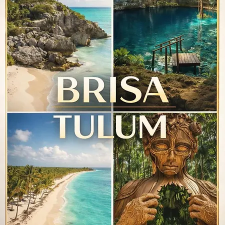 Brisa *