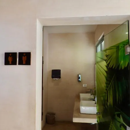King Studio En Coba Pool, Gym & Garden Hotel *