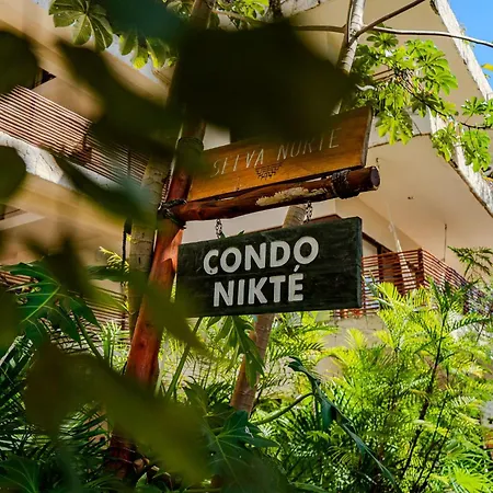 Modern With Pool Fast Wifi Perfect Apartamento Tulum