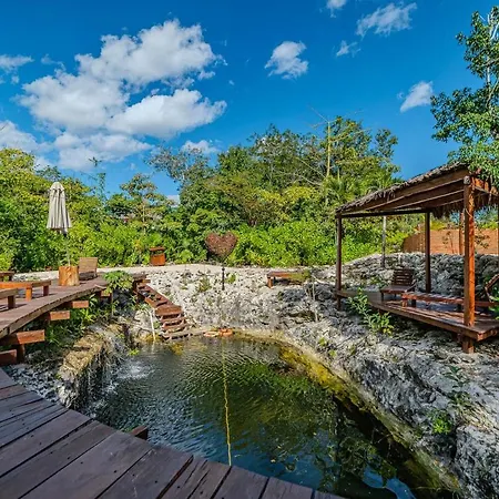 Modern With Pool Fast Wifi Perfect