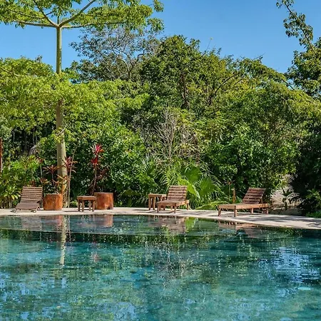 Modern With Pool Fast Wifi Perfect