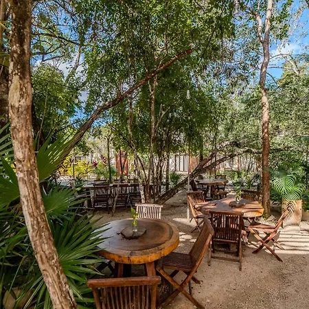 Modern With Pool Fast Wifi Perfect * Tulum