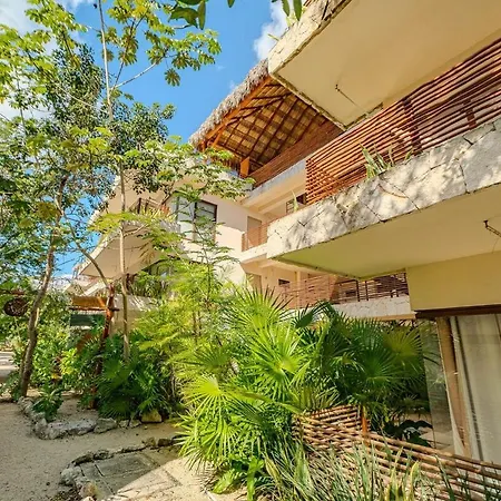 Modern With Pool Fast Wifi Perfect Tulum