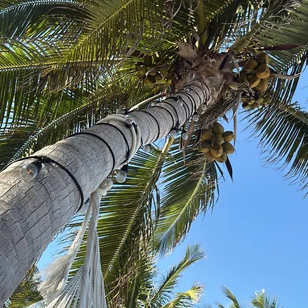 Aparthotel Casa Florentina Tulum
