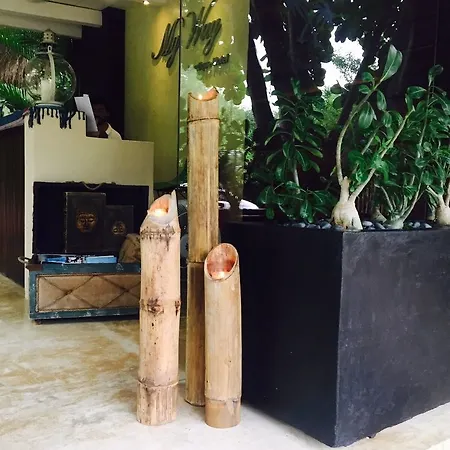 Orchid House (adults Only) Tulum