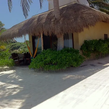 Hotel Orchid House (adults Only) 4*