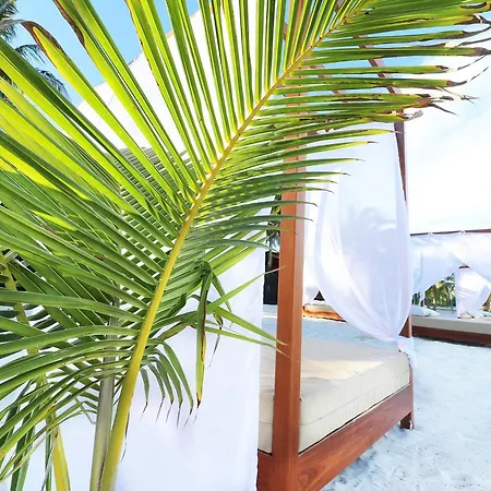 Amigos Boutique 4*