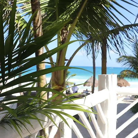 Hotel Amigos Boutique Tulum