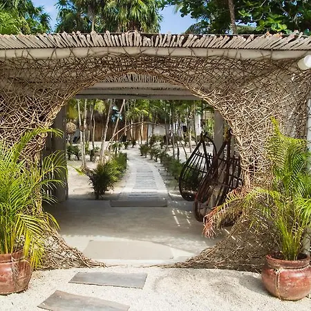 Amigos Boutique