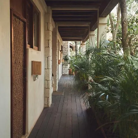 Hotel Orchid House Jungle Tulum