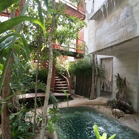 Orchid House Jungle