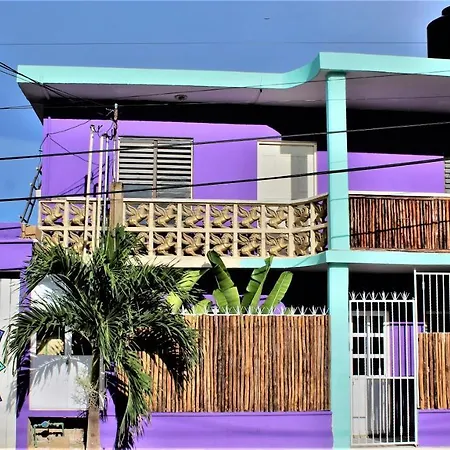 Hostel Mandala