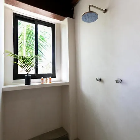 Mohave Jungle Hotel 2*