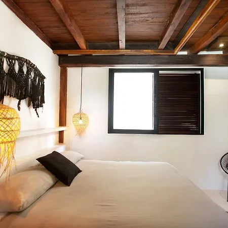 Mohave Jungle Tulum