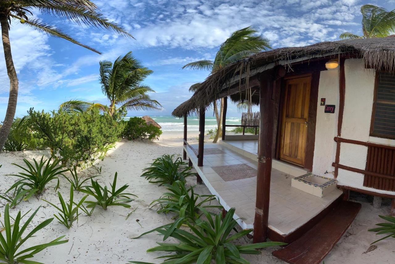 Bt Live Located At The Party Zone Tulum