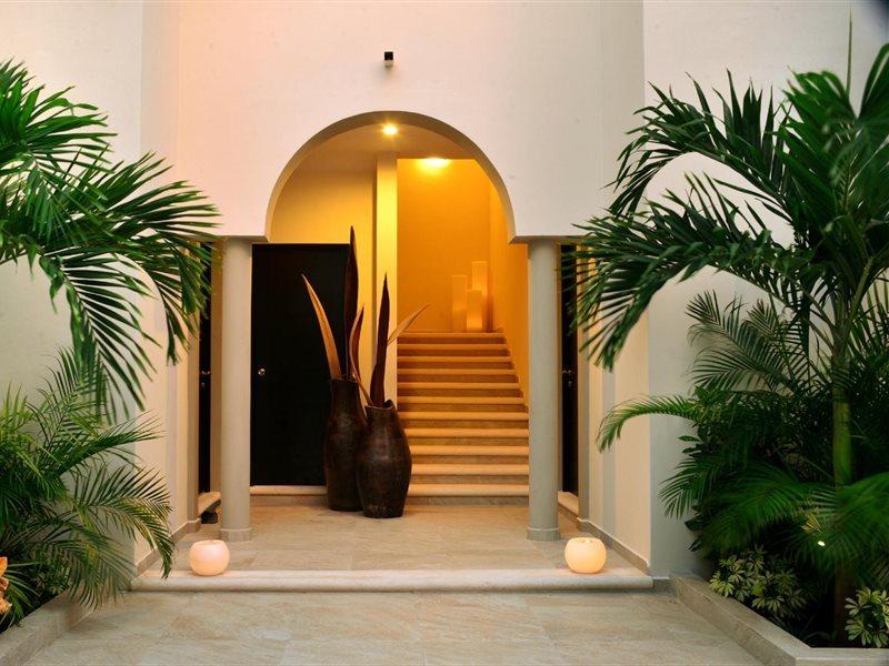Palms *