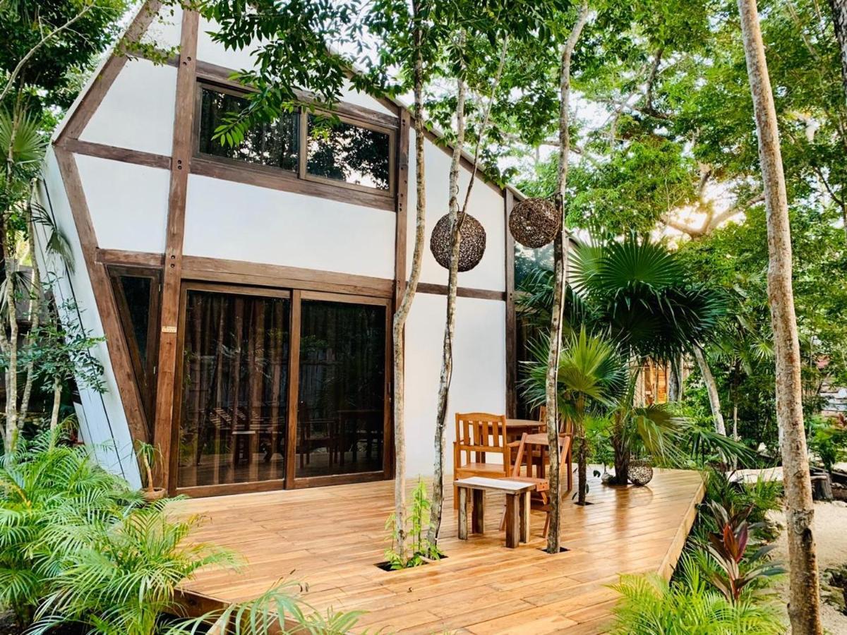 Nahouse Jungle Alojamento