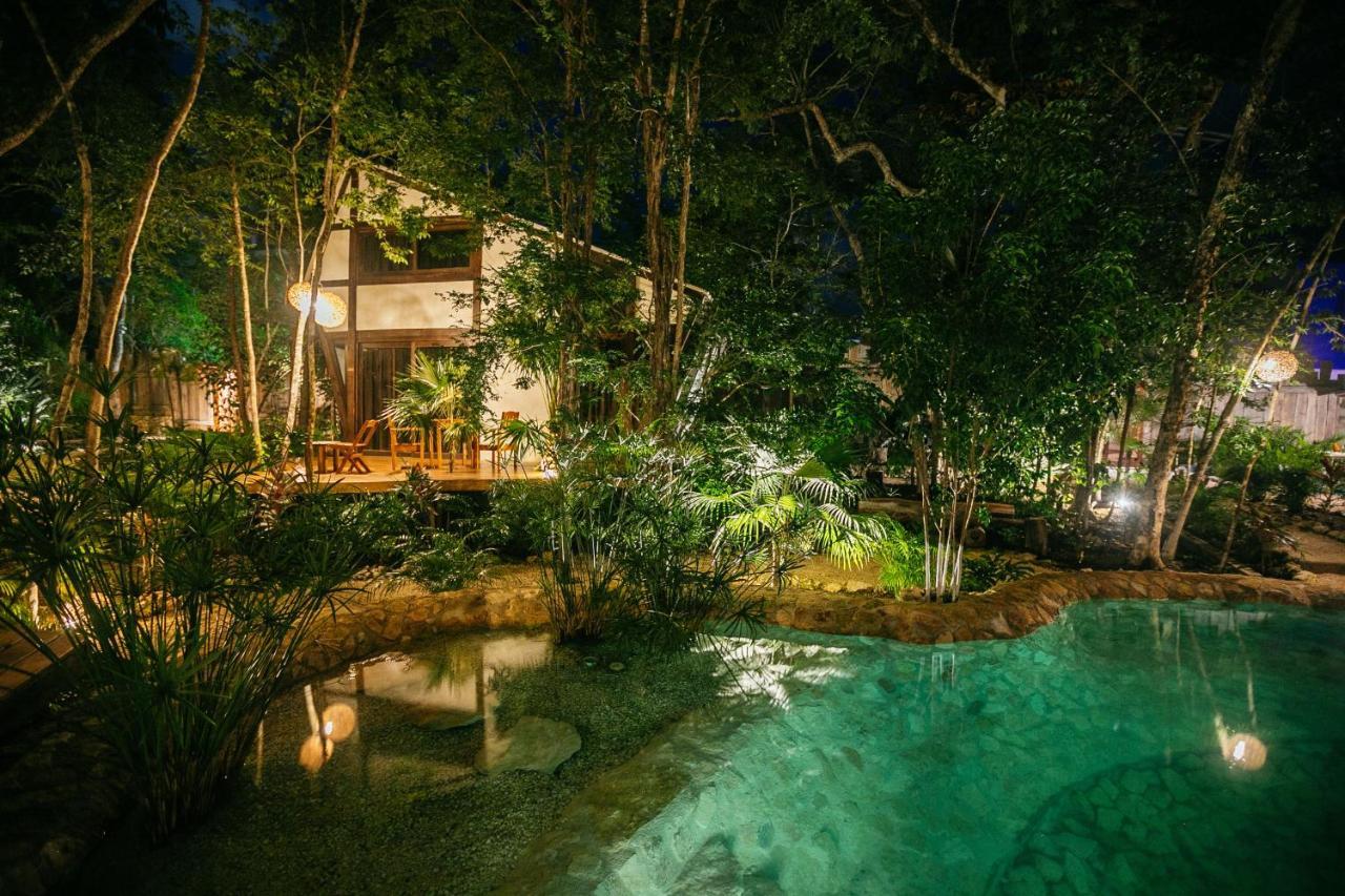 Nahouse Jungle Alojamento *